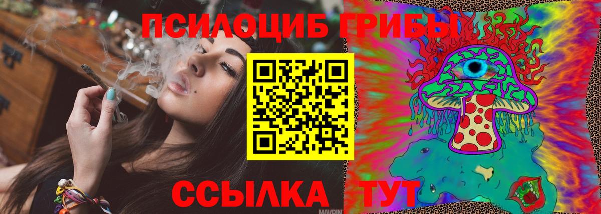 Галлюциногенные грибы Psilocybe Обь