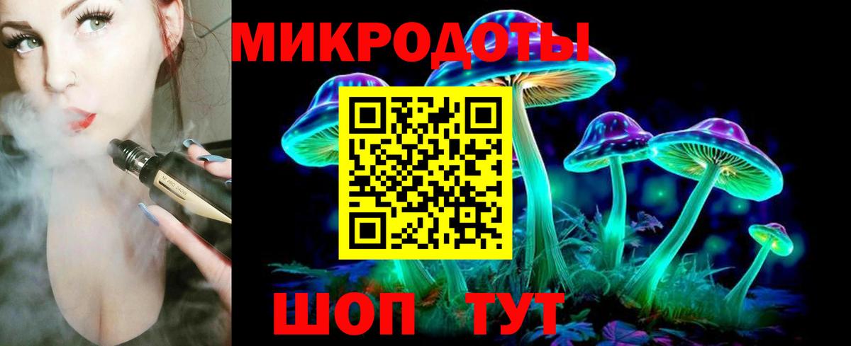 Обь  Псилоцибиновые грибы прущие грибы  даркнет сайт  Вход с VPN  Галлюциногенные грибы Psilocybe 